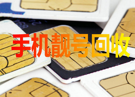 比亚迪吉祥号回收