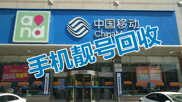 五菱宏光吉祥号回收