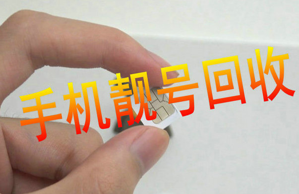 比亚迪宋吉祥号回收