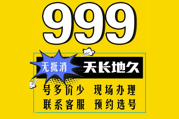 单县尾号999吉祥号