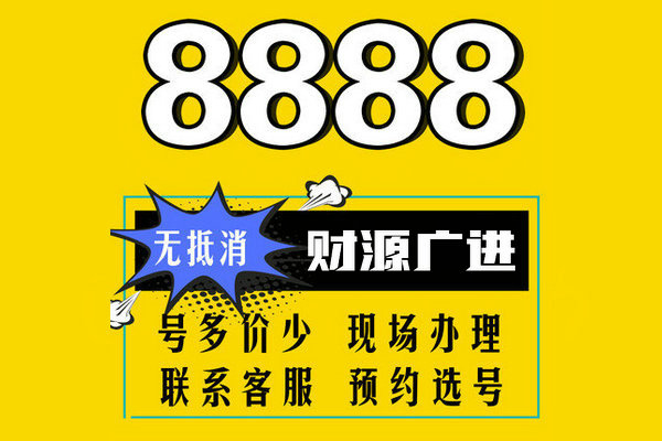 成武尾号8888吉祥号