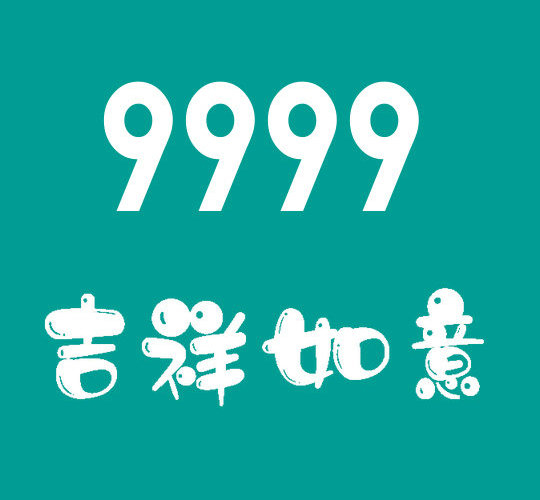 曹县尾号9999吉祥号