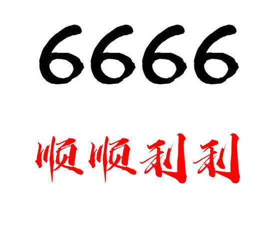 槐荫6666吉祥号